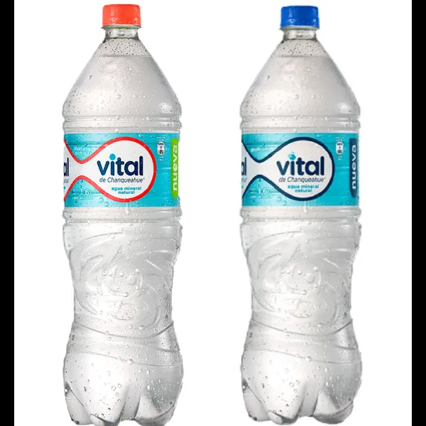 SIx Pack Agua Mineral Vital 1.6L